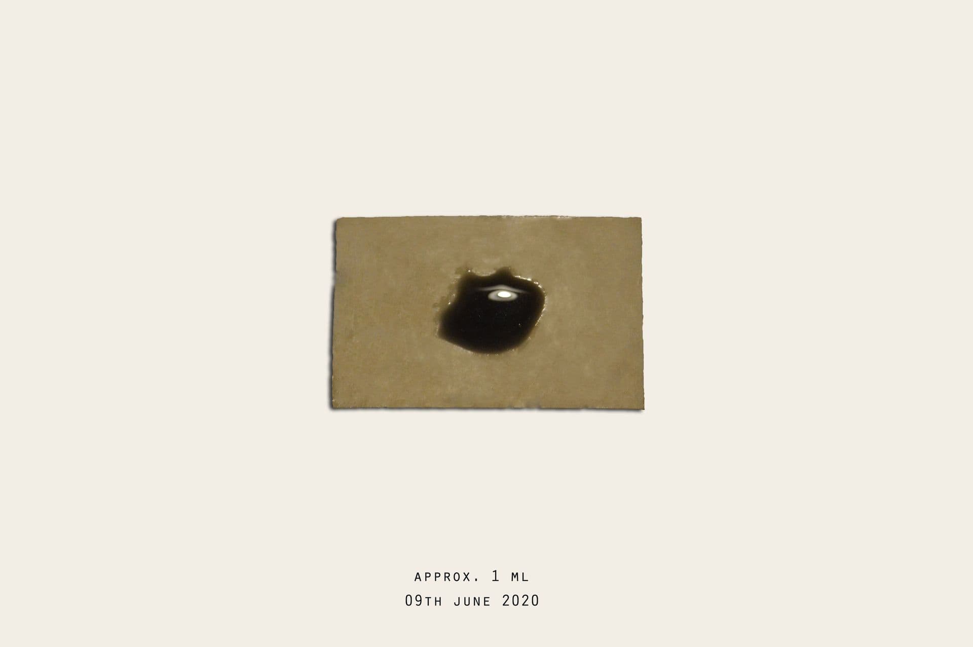 17 Weeks and 5 Days — 1