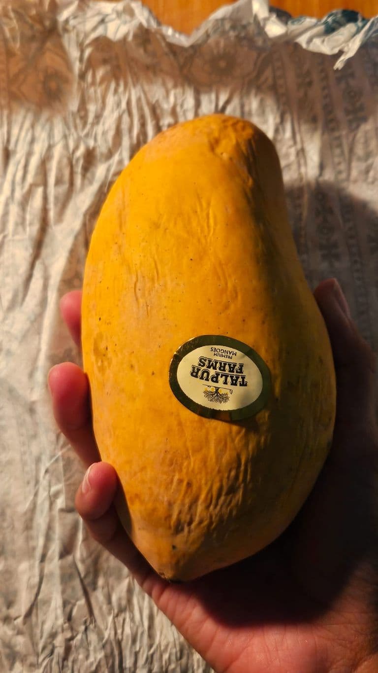 Creative Writing Assignment — IMG-20250616-WA0001