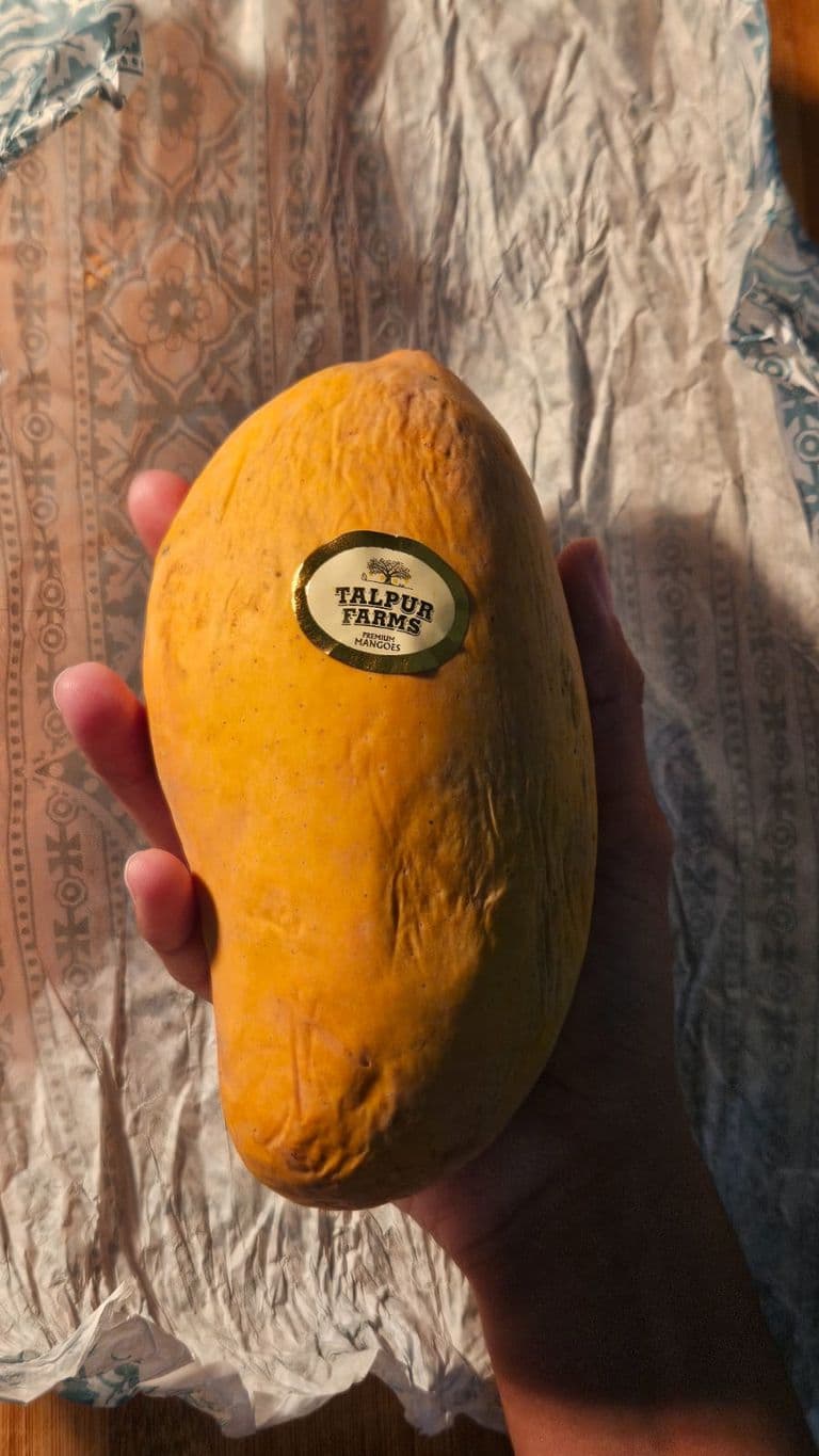 Creative Writing Assignment — IMG-20250616-WA0008