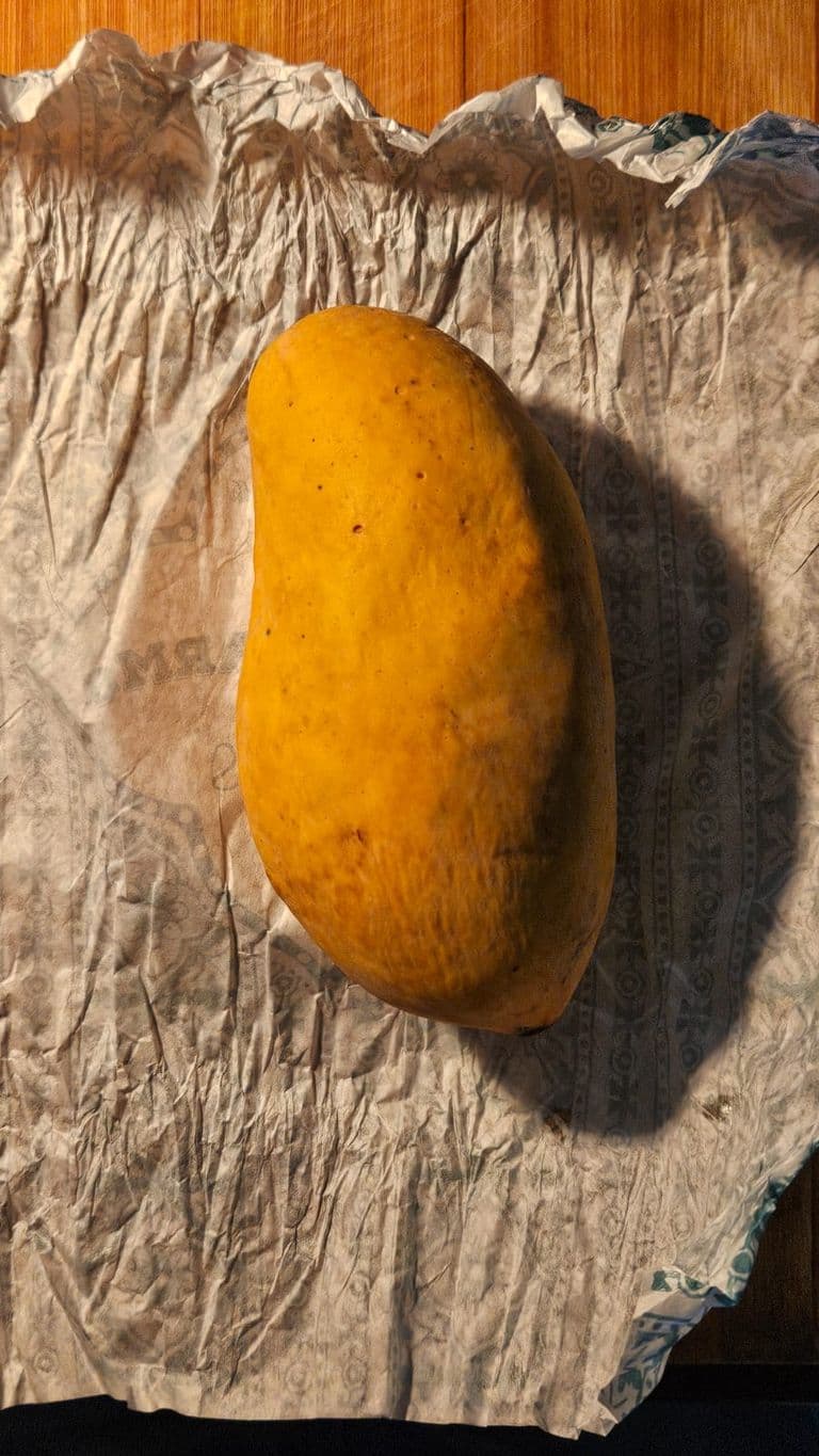 Creative Writing Assignment — IMG-20250616-WA0018