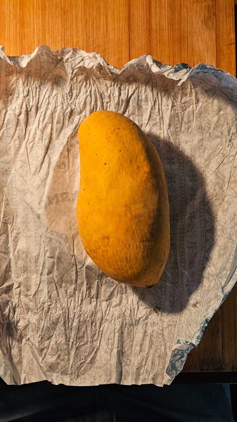 Creative Writing Assignment — IMG-20250616-WA0020