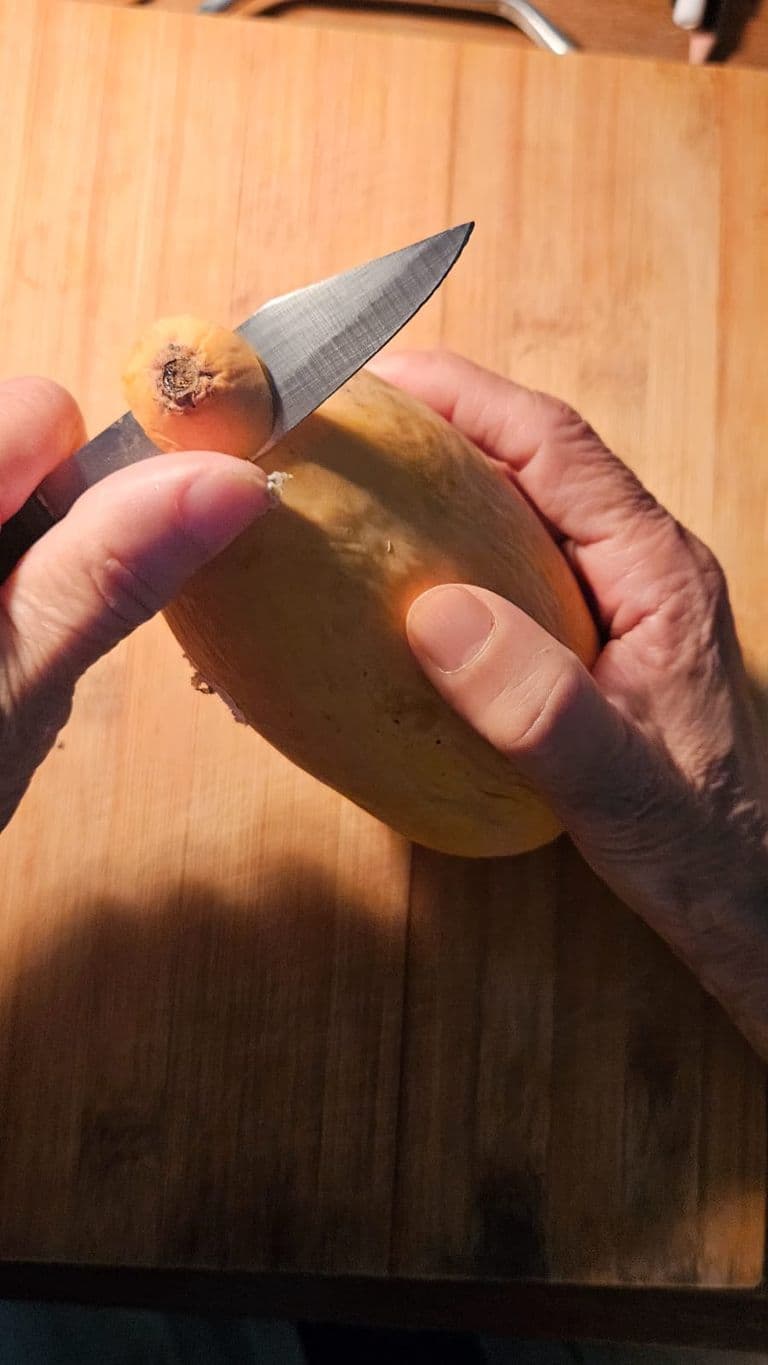 Creative Writing Assignment — IMG-20250616-WA0025