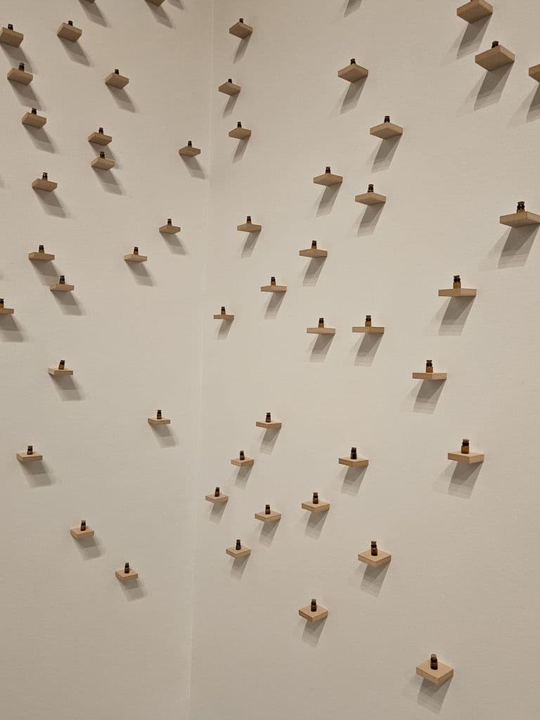 Chalo k Chalein — WhatsApp Image 2026-03-05 at 9.20.20 PM (1)