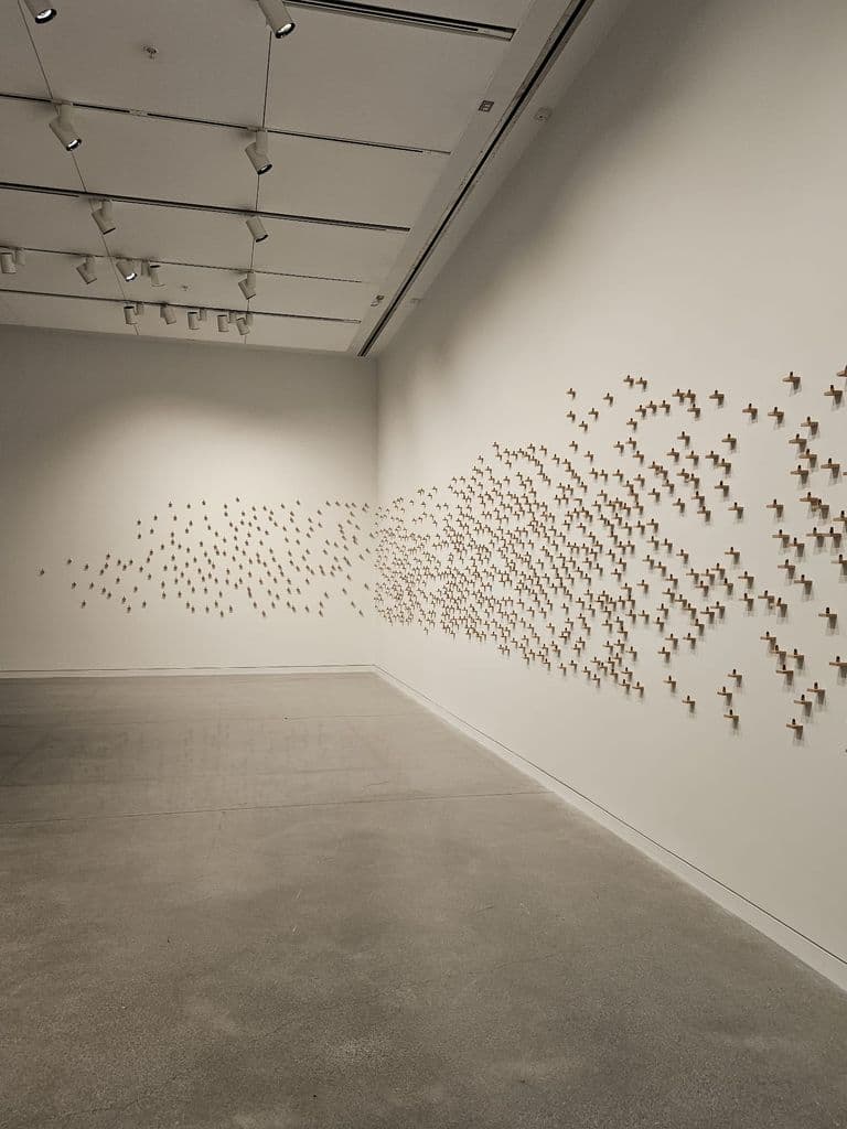 Chalo k Chalein — WhatsApp Image 2026-03-05 at 9.20.20 PM